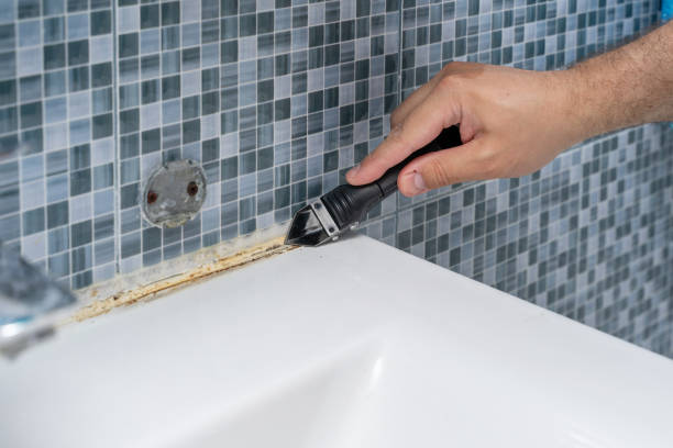 Certified Mold Removal in Conyngham, PA